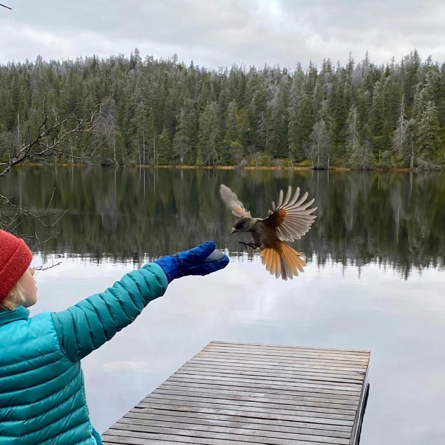 Villa Saarua By The Slopes Ski In, Family & Bike Park, Hike Trails, National Park, Wifi - Lapland Villas Ruka Exteriér fotografie
