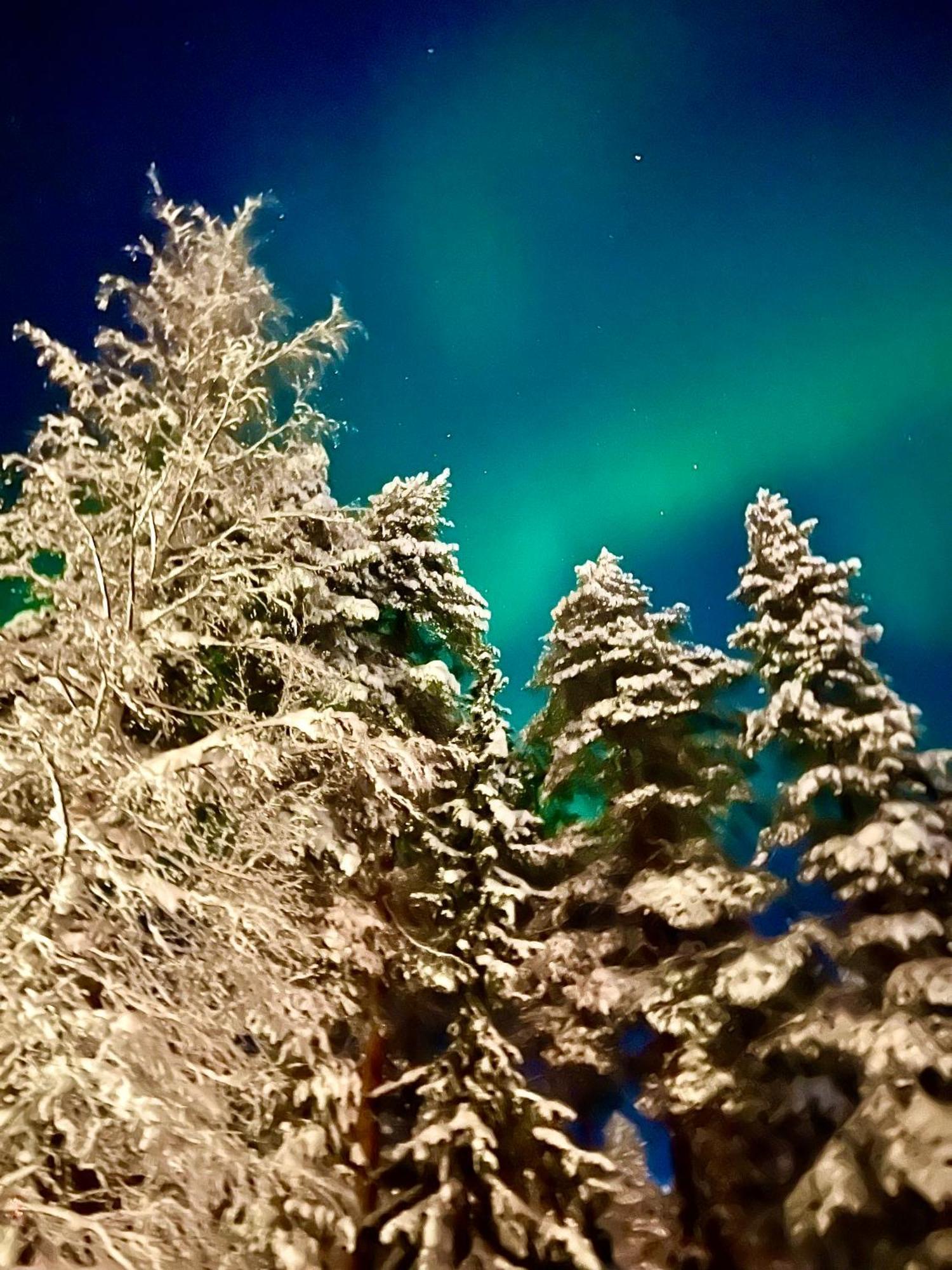 Villa Saarua By The Slopes Ski In, Family & Bike Park, Hike Trails, National Park, Wifi - Lapland Villas Ruka Exteriér fotografie