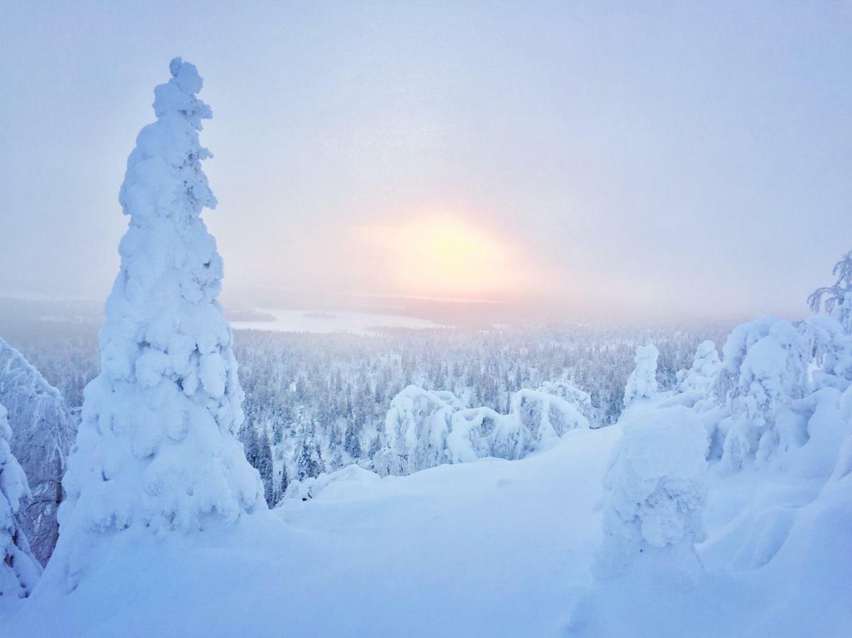 Villa Saarua By The Slopes Ski In, Family & Bike Park, Hike Trails, National Park, Wifi - Lapland Villas Ruka Exteriér fotografie
