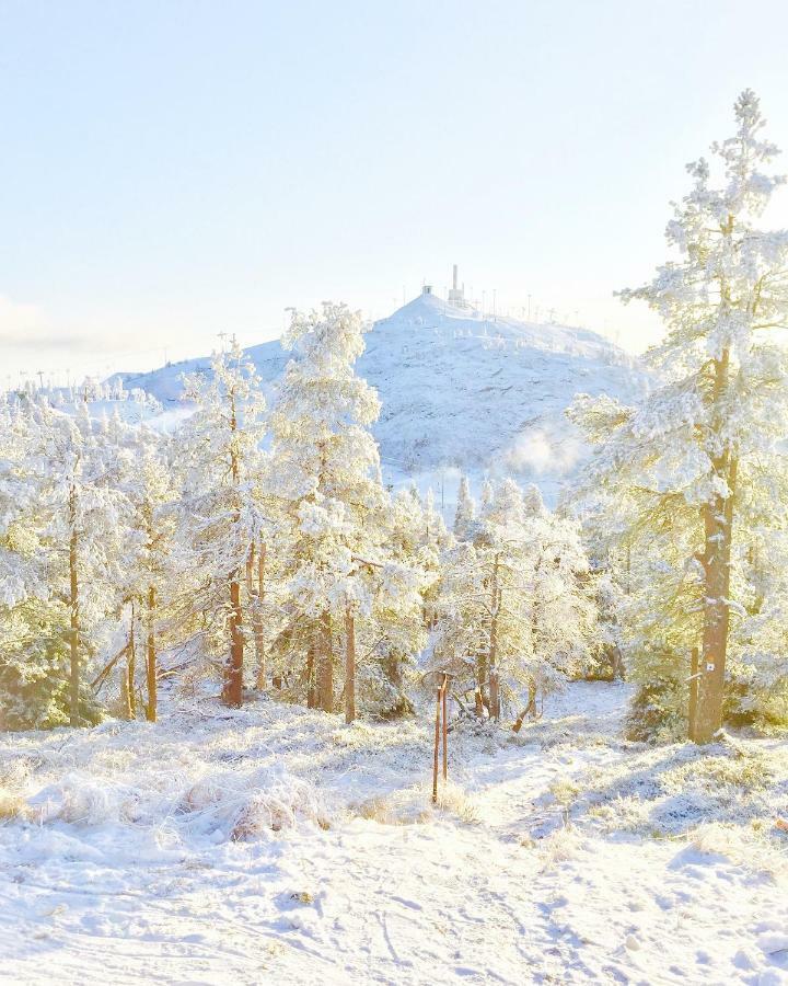 Villa Saarua By The Slopes Ski In, Family & Bike Park, Hike Trails, National Park, Wifi - Lapland Villas Ruka Exteriér fotografie