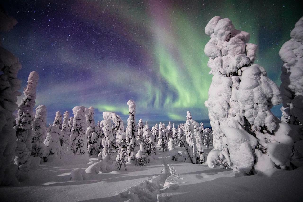 Villa Saarua By The Slopes Ski In, Family & Bike Park, Hike Trails, National Park, Wifi - Lapland Villas Ruka Exteriér fotografie
